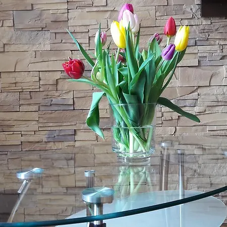 Apartament Przytulny Old Town Na Starowce Apartment